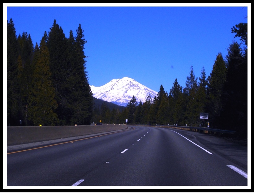 Shasta